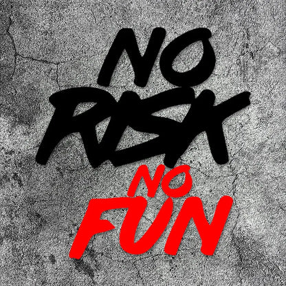 NO RISK NO FUN Motorcycle Stickers FM