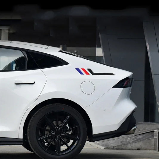 2PCS/Set Car Body Stickers FC