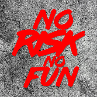 NO RISK NO FUN Motorcycle Stickers FM